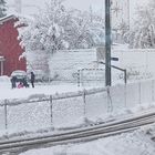 Wohl keine weisse Weihnacht. Der Schnee kam vorher...