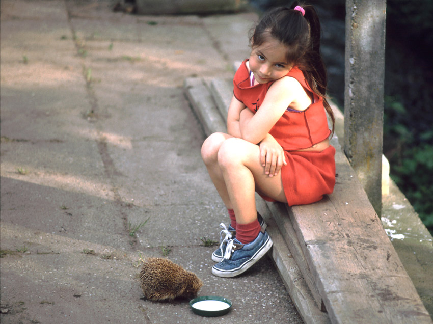 ...wohl noch nie ´n Frauchen mit ´nem Igel gesehen?