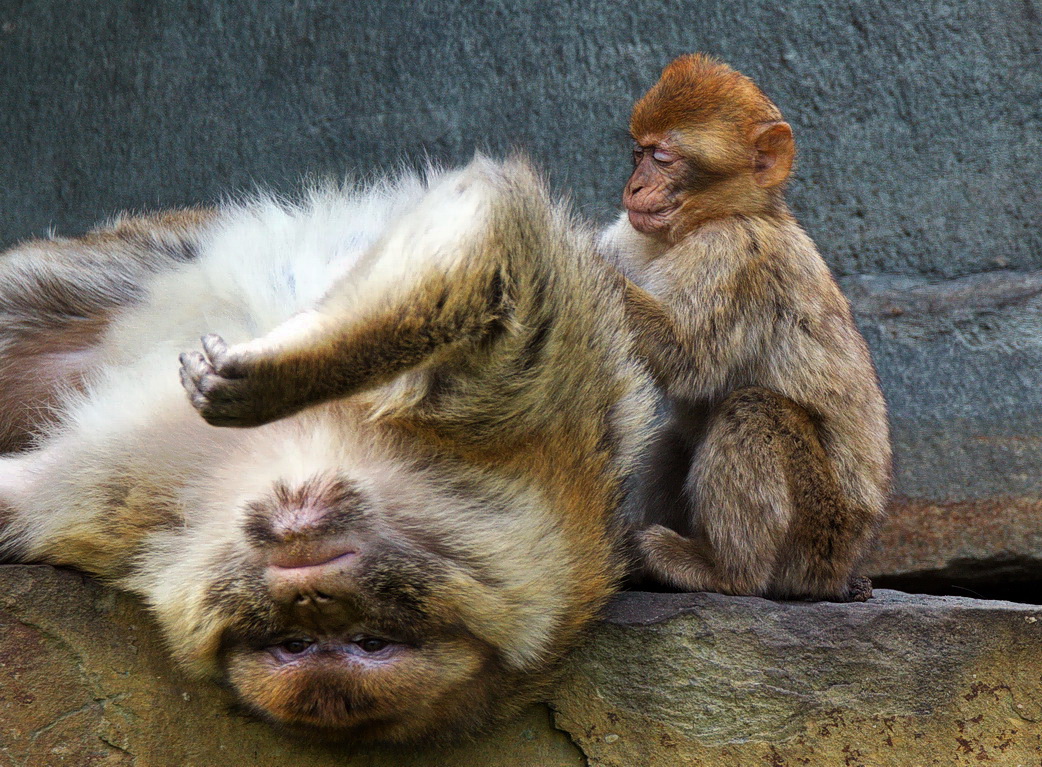 Wohlbehagen