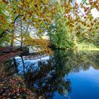 Wohldorfer Wald - Ammersbek zum Mühlenteich