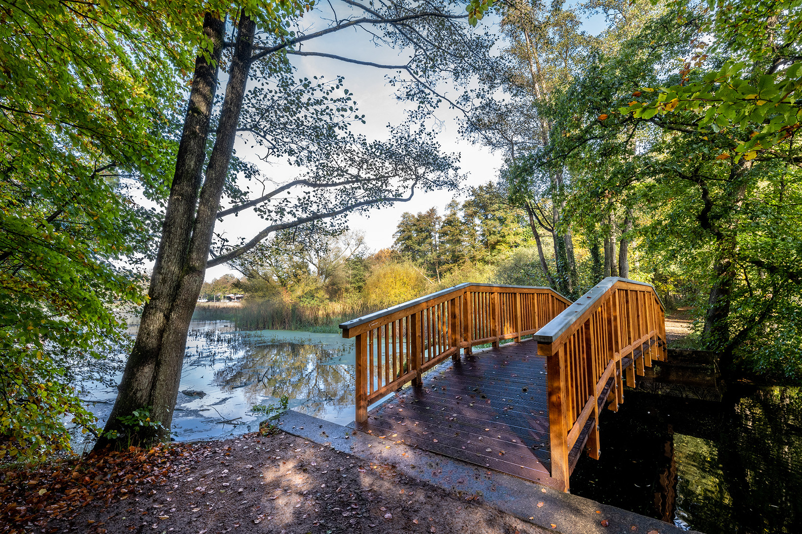 Wohldorfer Wald - Brücke über die Ammersbek