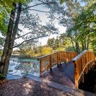 Wohldorfer Wald - Brücke über die Ammersbek