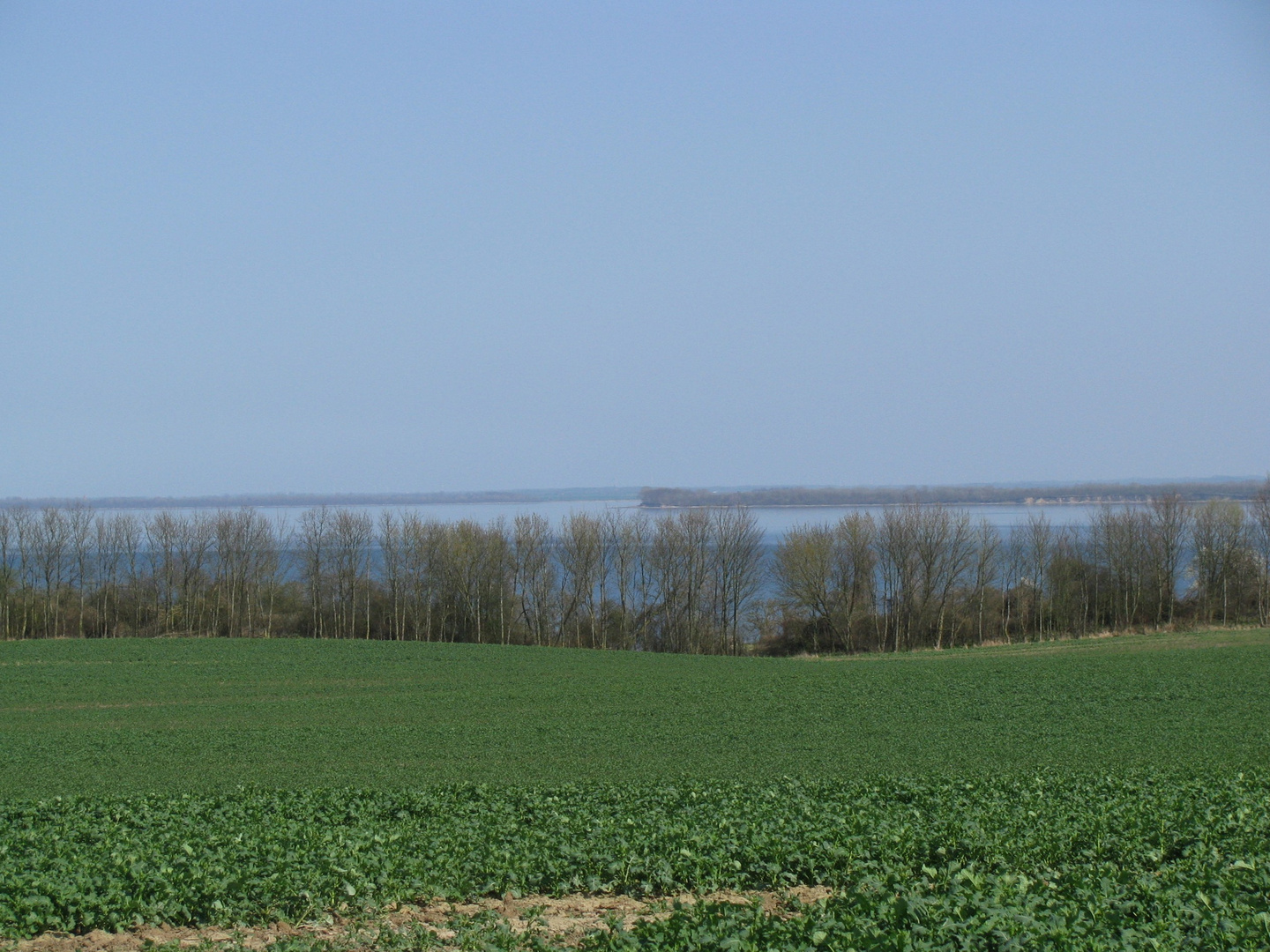 Wohlenberger Wiek im Frühjahr 2018