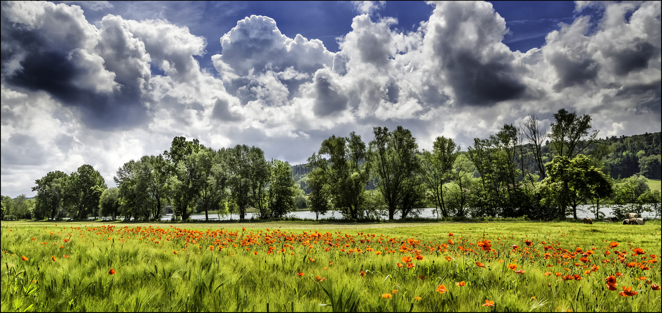 Wohlensee