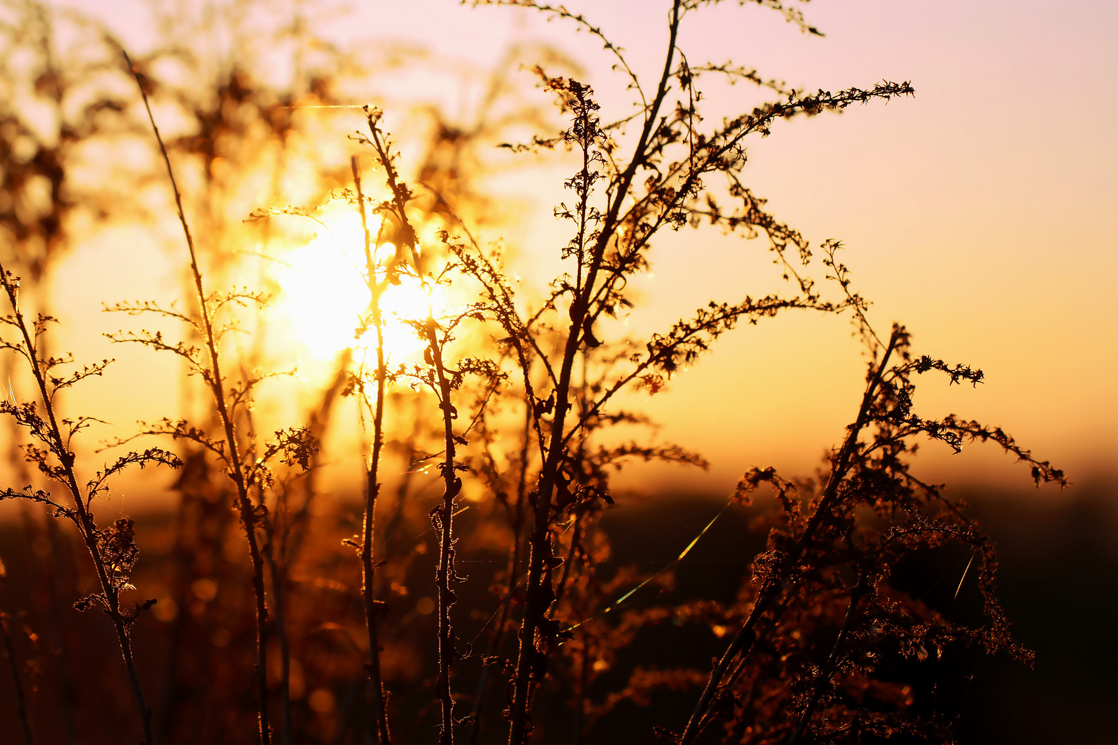 Wohlfühlen mit natürlicher Sonnenenergie