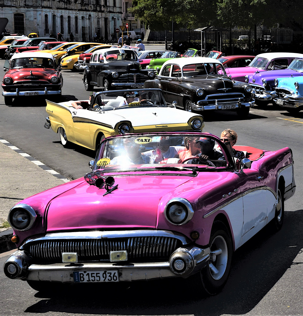 Wohlgepflegte Kultobjekte in Havanna