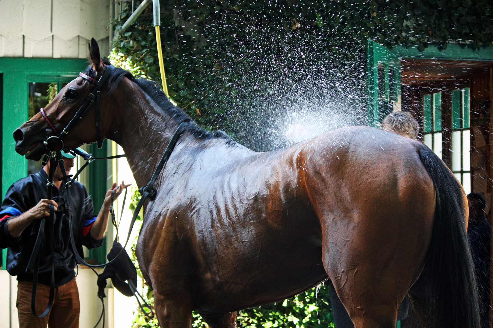 Wohlverdiente Dusche