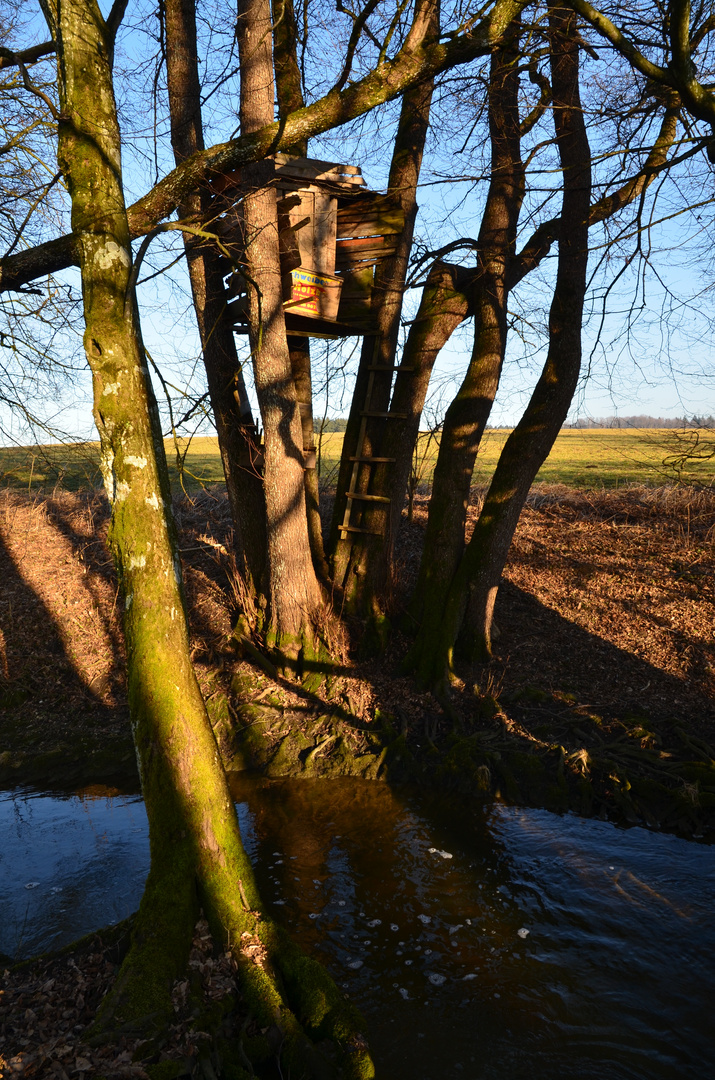 Wohnbauten aus Holz sind jetzt IN