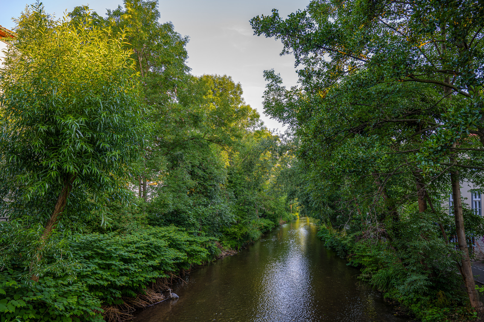 Wohnen am Fluss 21