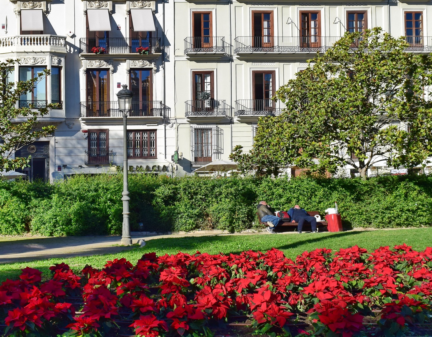 Wohnen am Park, leben im Park