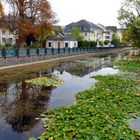 Wohnen am Poppelsdorfer Schloss