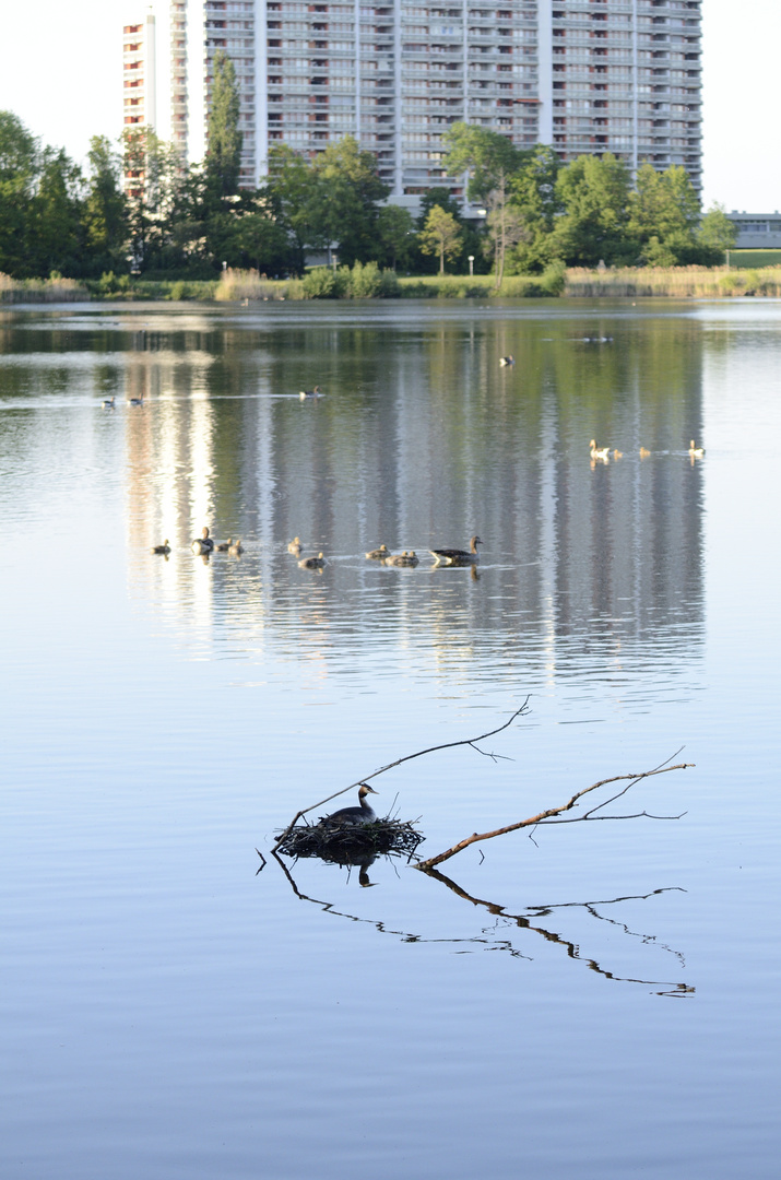 Wohnen am See