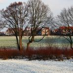 Wohnen am Stadtrand