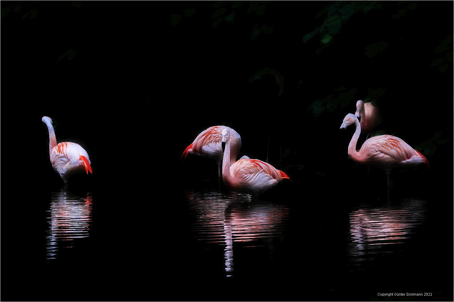 Wohnen am Teich