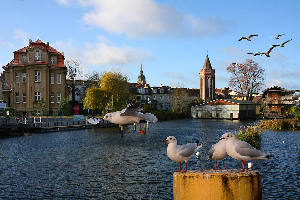 Wohnen am Wasser