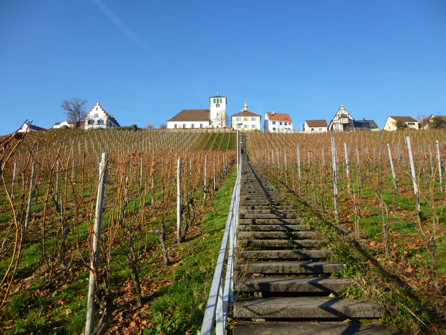 Wohnen am Weinberg