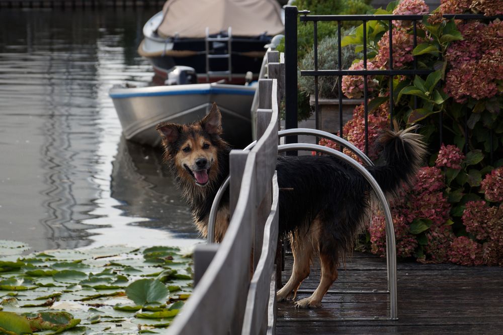 Wohnen an der Gracht