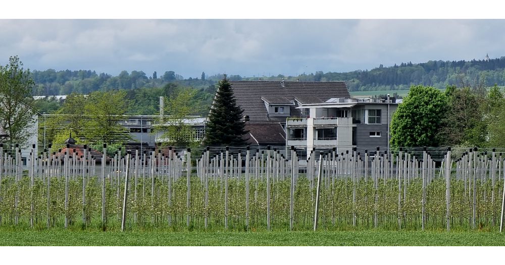 Wohnen auf dem Lande