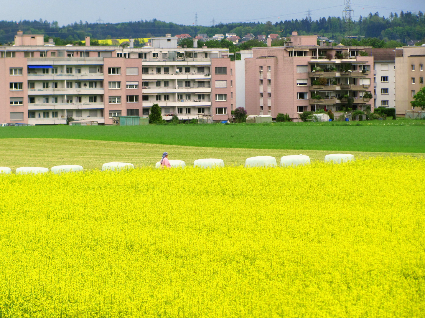 Wohnen auf der grünen/gelben Wiese