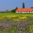 Wohnen auf Rügen