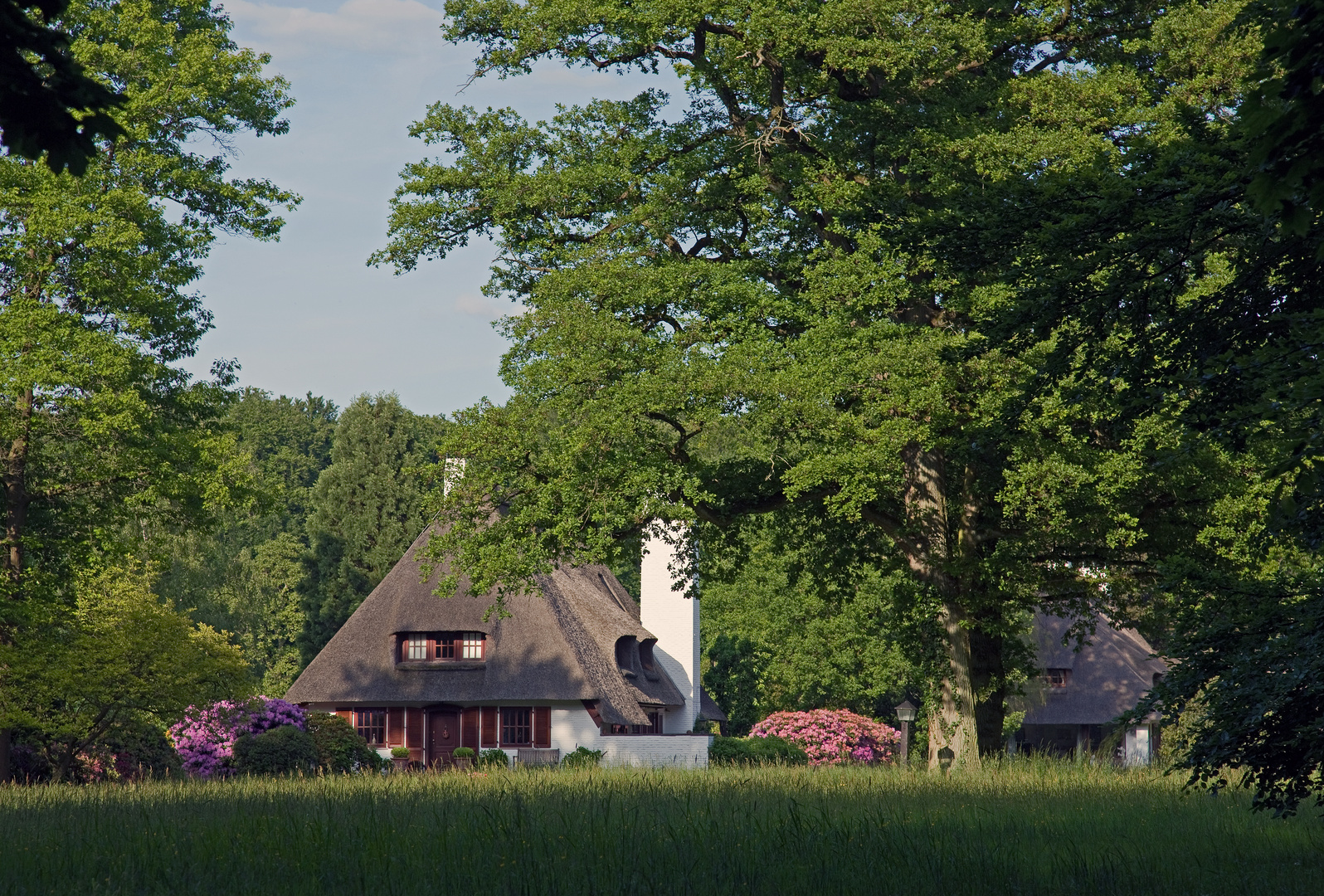 wohnen im grünen