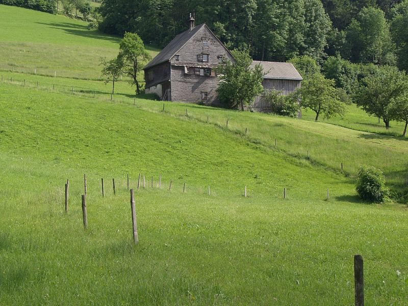 Wohnen im Grünen