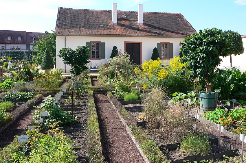 ...wohnen im Kräutergarten in Seligenstadt...