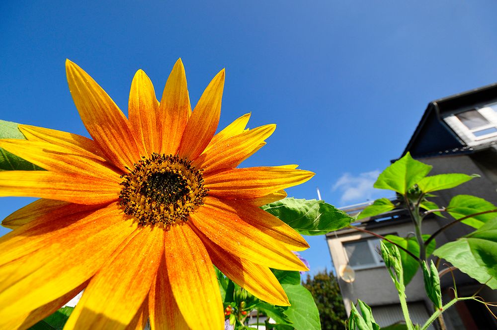 Wohnen im sonnigen Sauerland