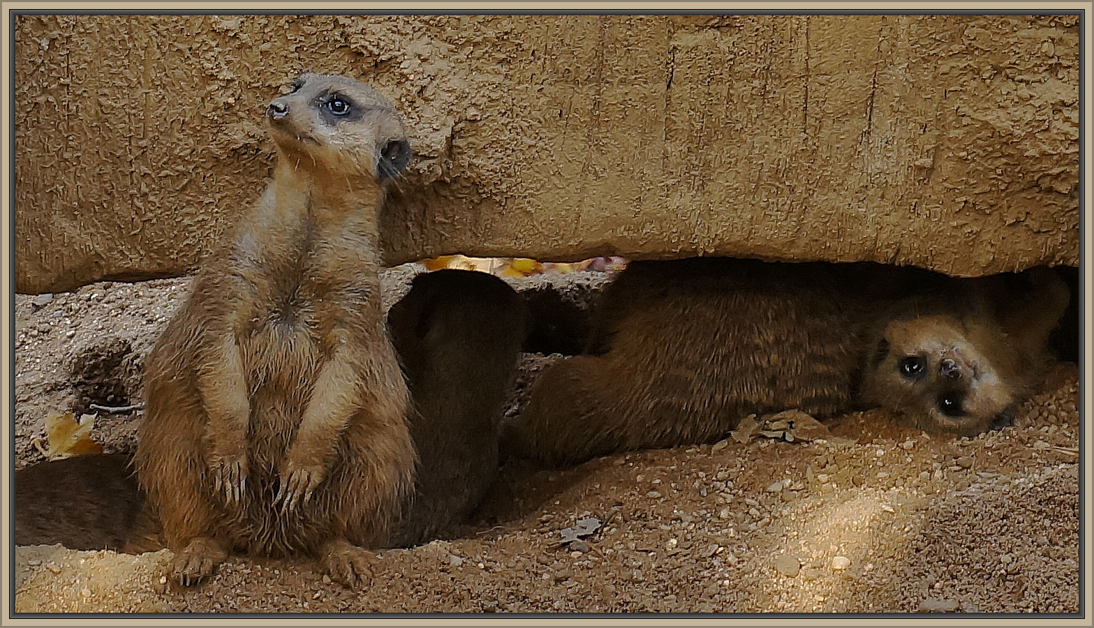 Wohnen im Souterrain...