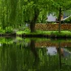 Wohnen im Spreewald