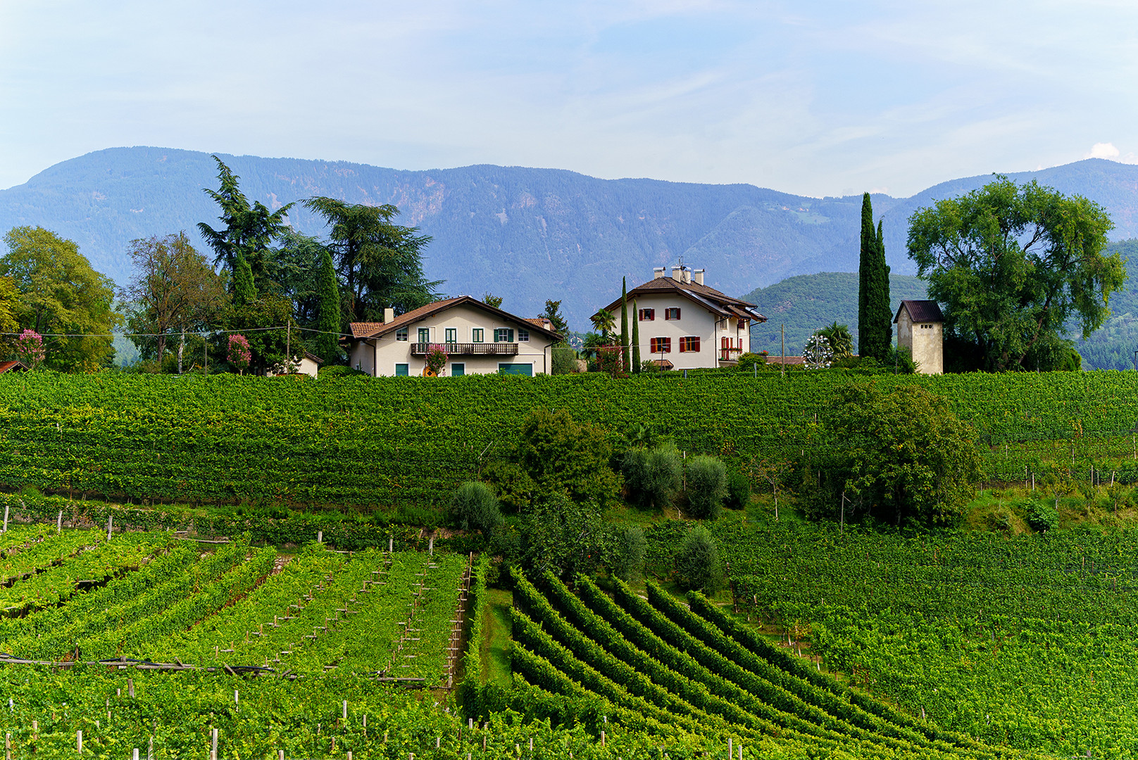 Wohnen im Weinbaugebiet