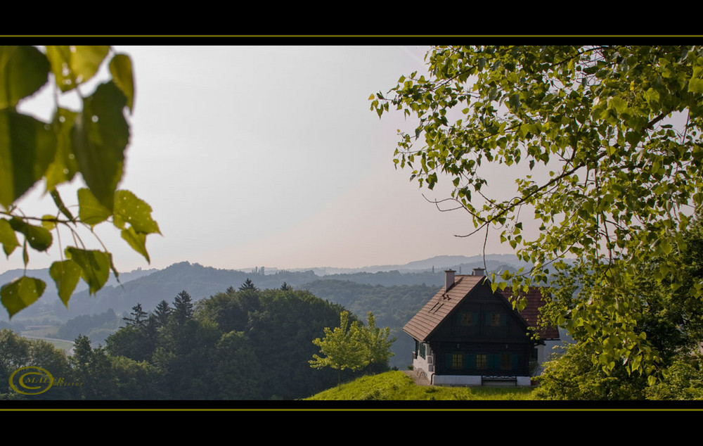 Wohnen im Weinberg