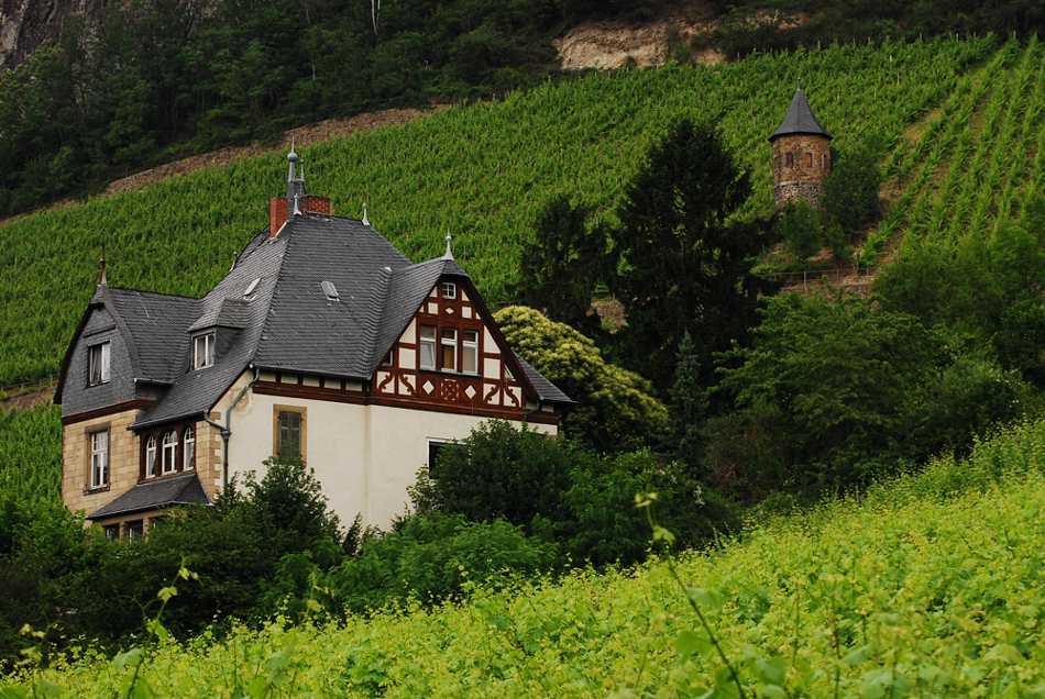 Wohnen in den Weinbergen des Drachenfels