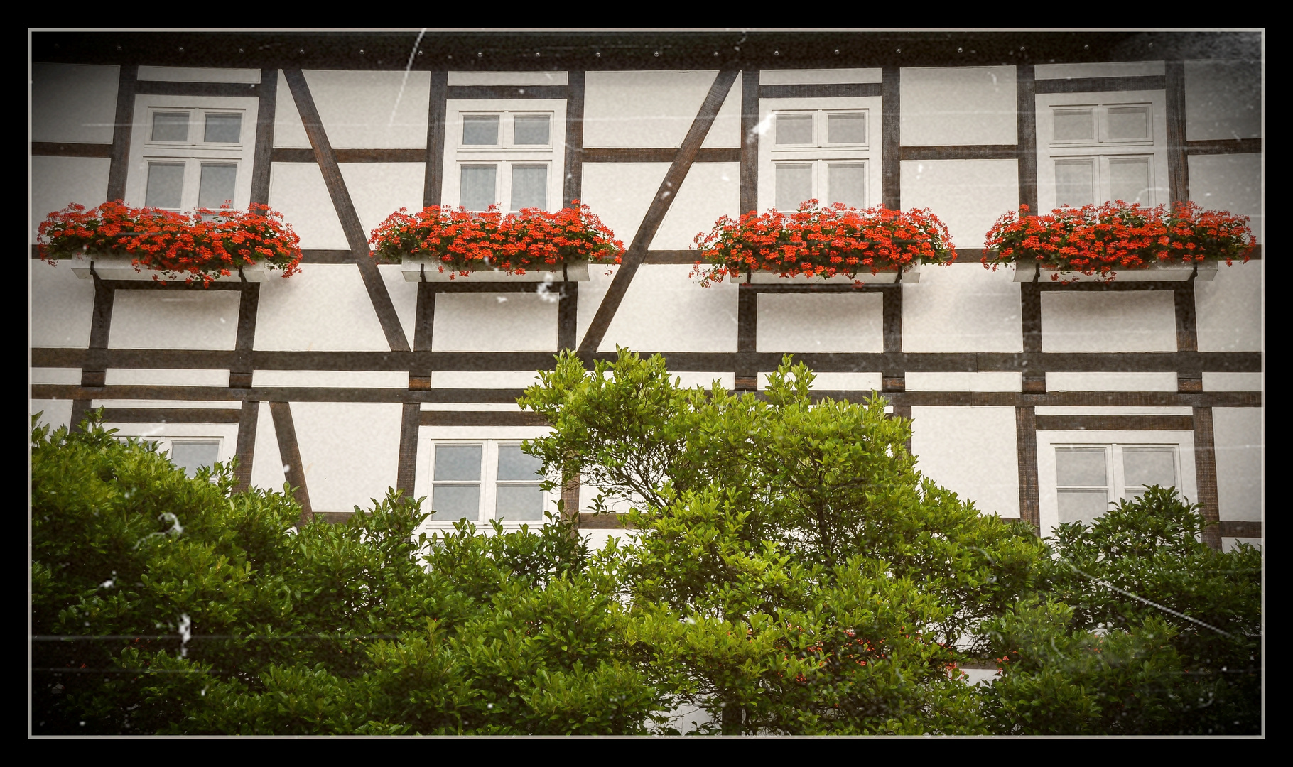 Wohnen in der Altstadt von Rinteln