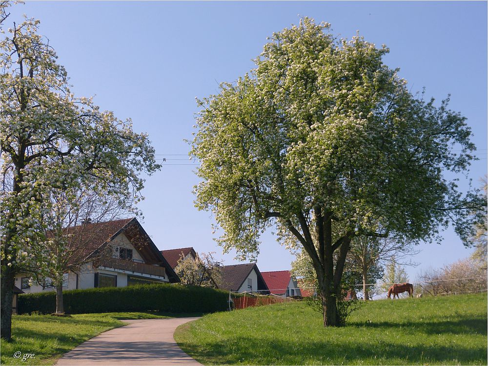 Wohnen in der Natur