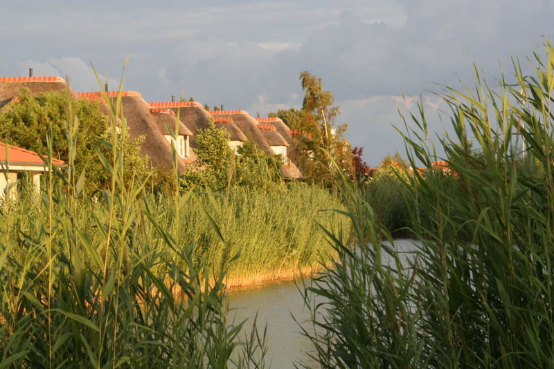 Wohnen in der Natur