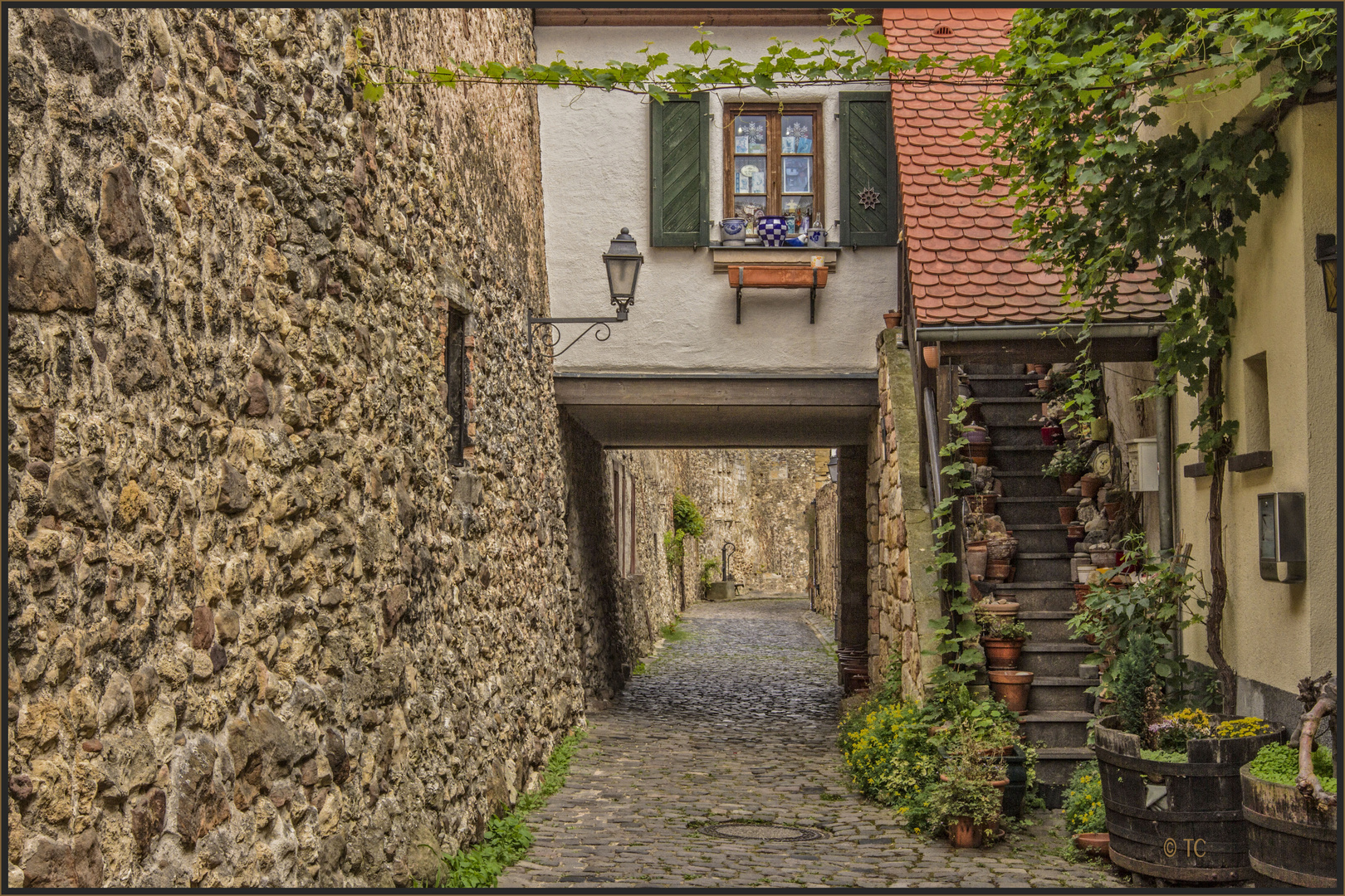 WOHNEN IN DER STADTMAUER 2