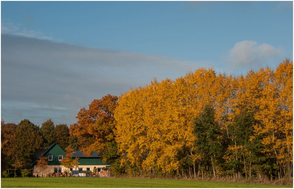 Wohnen in Herbst