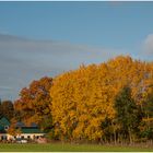 Wohnen in Herbst