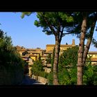 Wohnen in San Gimignano