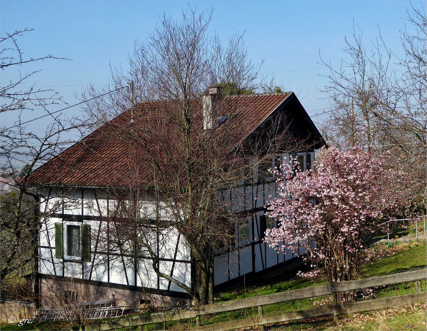 Wohnen inmitten von Obstbaumwiesen