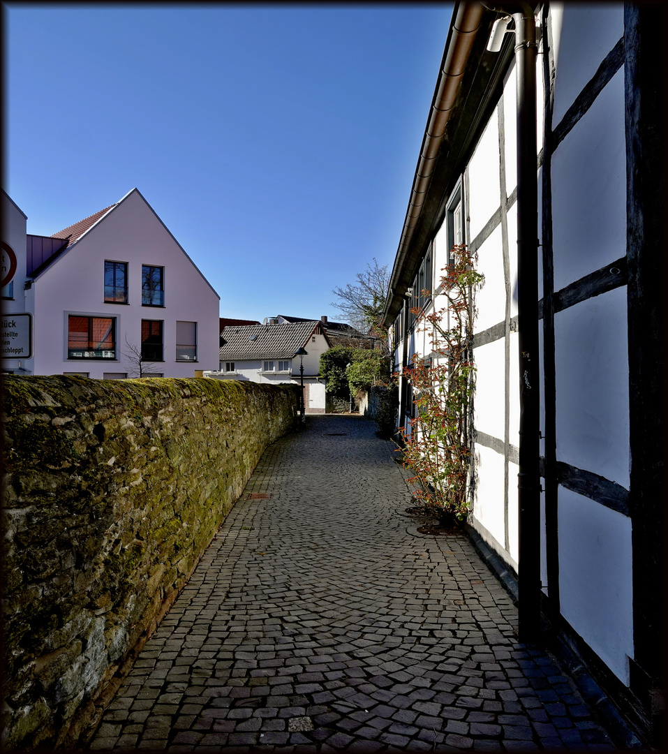 Wohnen mit Blick auf die Mauer 