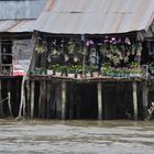 Wohnen und arbeiten am Mekong 3