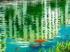 wohnhausspiegelung...