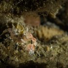 Wohnhöhle mit Aussicht