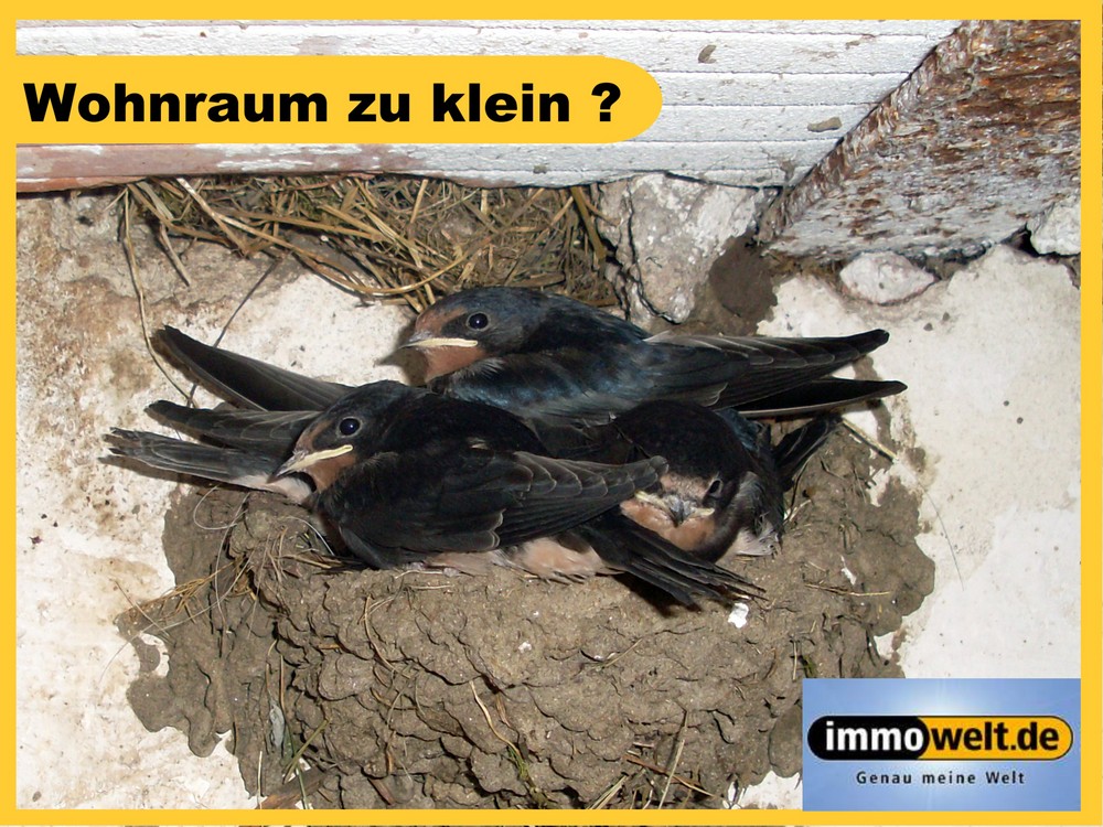 Wohnraum zu klein?