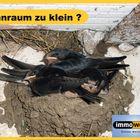 Wohnraum zu klein?