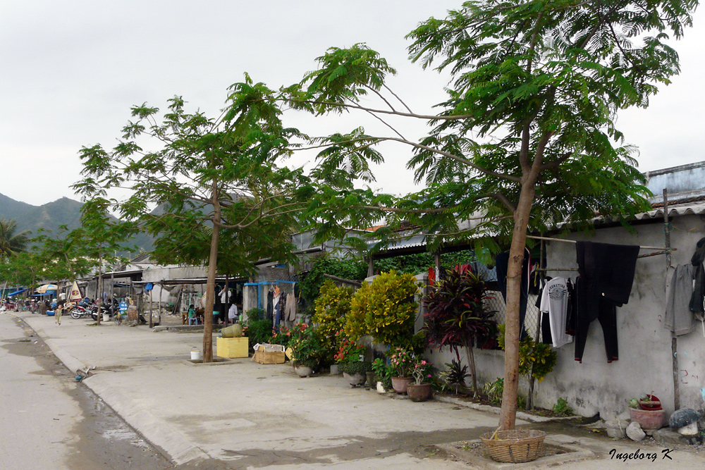 Wohnstraße in einem Vorort von Nha Trang