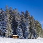 Wohnt hier der Weihnachtsmann mit Rudolph dem Rentier?