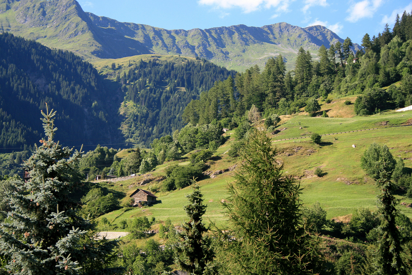 ...Wohnt hier Heidi?... Alpen vor dem St. Gotthard-Tunnel